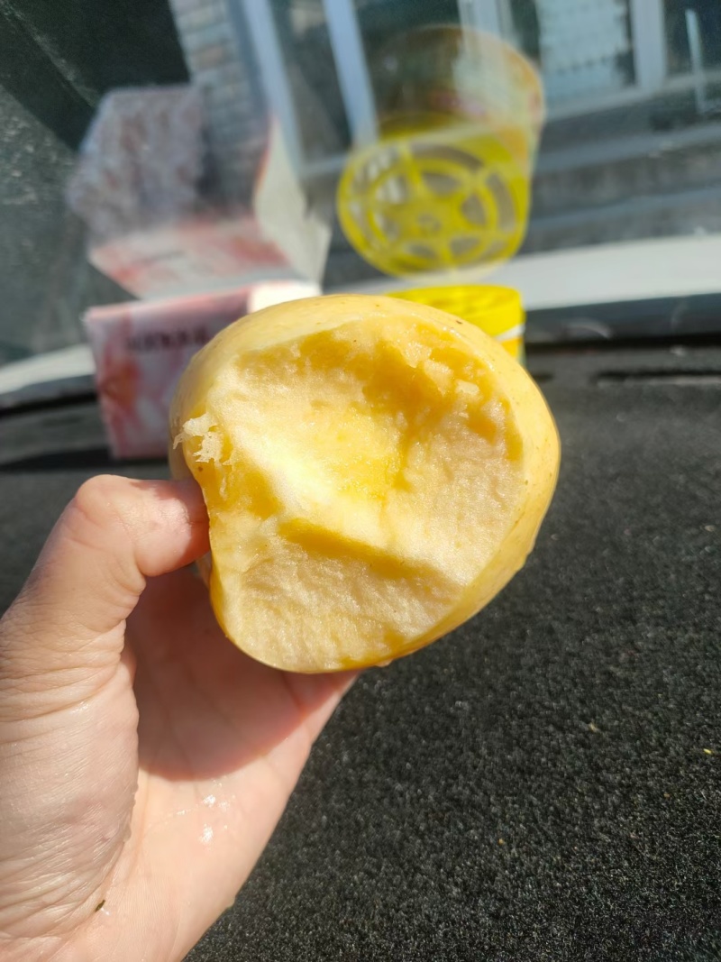 山东黄金维纳斯苹果75以上规格，精品
