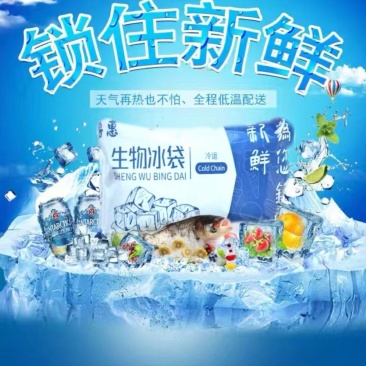 生物冰袋反复使用无需注水夏季保鲜冷藏水果食品海鲜快递运输