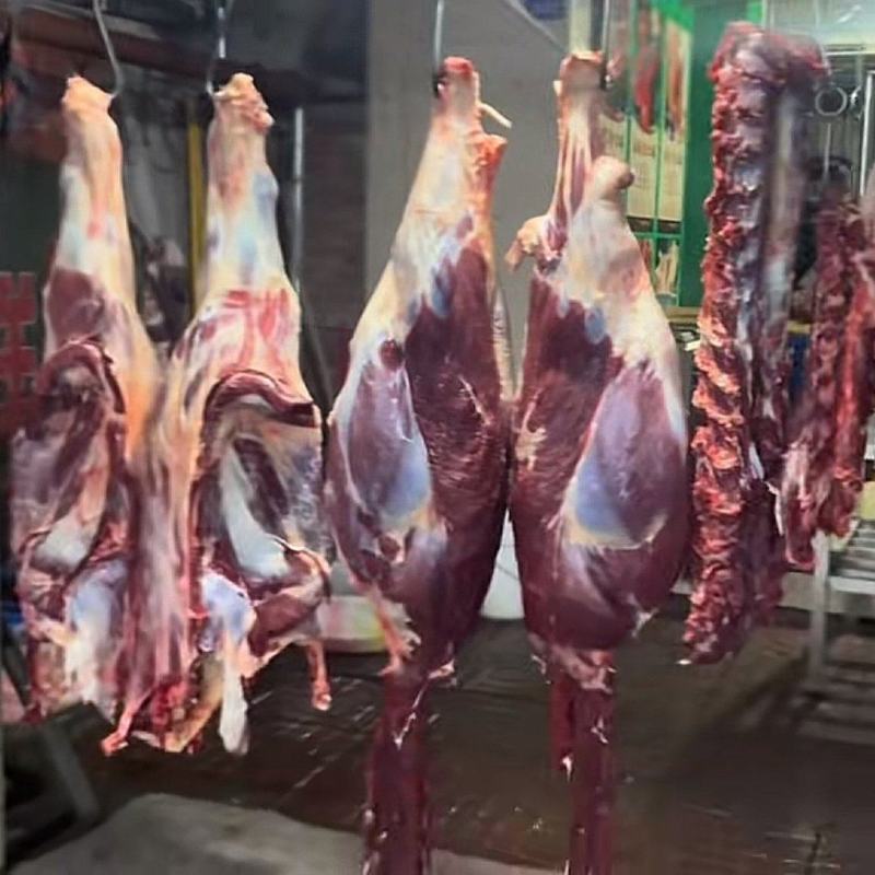国产纯干大牛板肉，质量保证物优价廉，支持样品