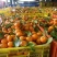 【社区团购】广西桂林八月橘承接商超批发市场对接全国