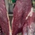 国产纯干大牛板肉，质量保证物优价廉，支持样品
