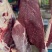 国产纯干大牛板肉，质量保证物优价廉，支持样品