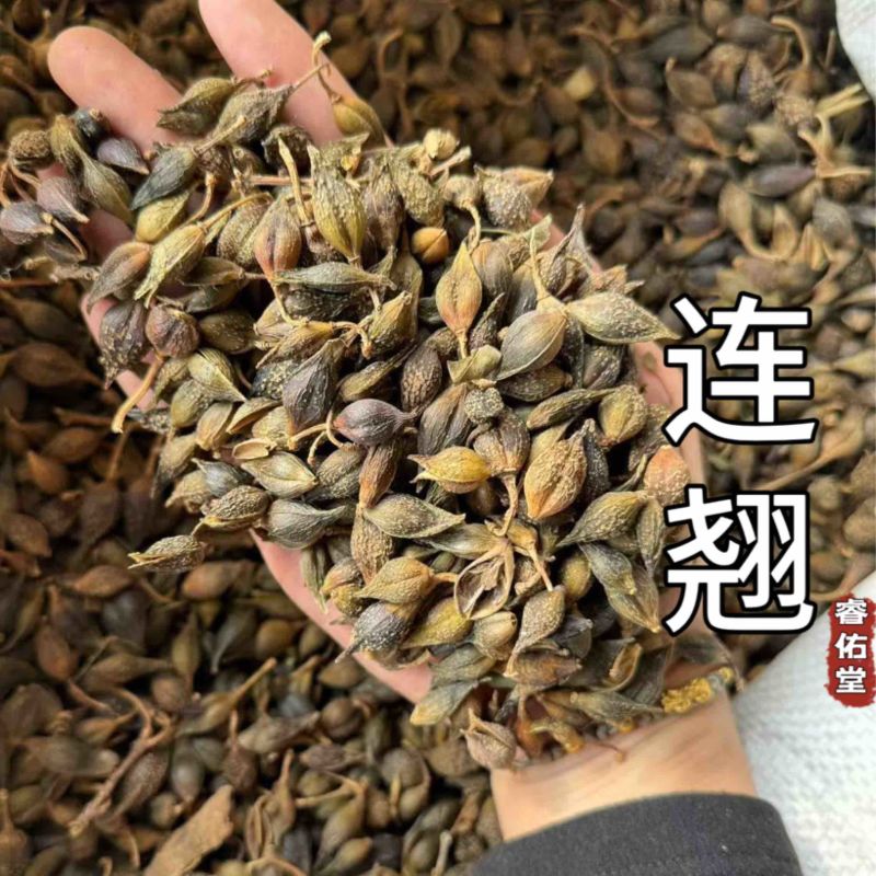 连翘青连翘水煮青翘实拍现货发货如图青翘