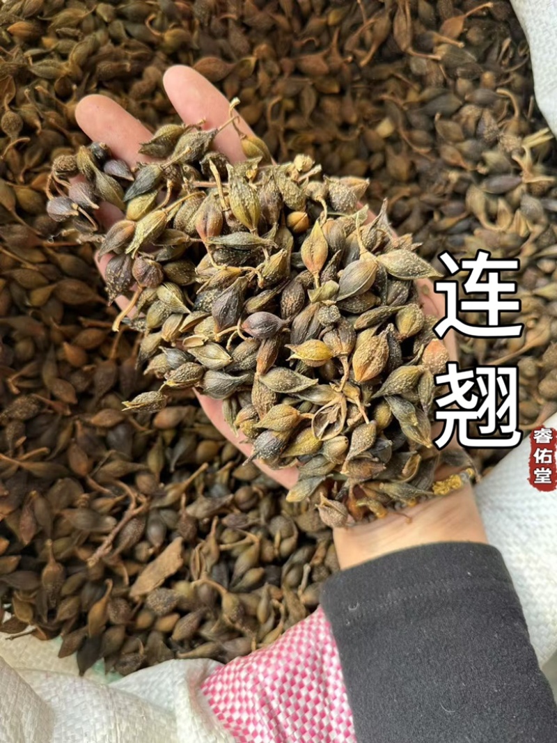 连翘青连翘水煮青翘实拍现货发货如图青翘