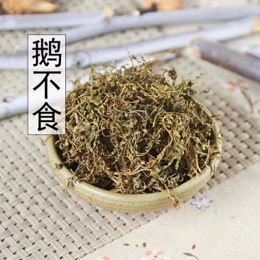 野生鹅不食草正品鹅不食草粉饿不吃草中药材批50