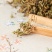 野生鹅不食草正品鹅不食草粉饿不吃草中药材批50