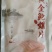 三鲸岛/黄金鲍螺片，对接全国市场，量大从优。