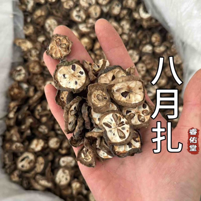八月扎八月札预知子八月瓜八月炸实拍现货无硫