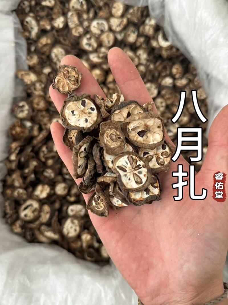 八月扎八月札预知子八月瓜八月炸实拍现货无硫