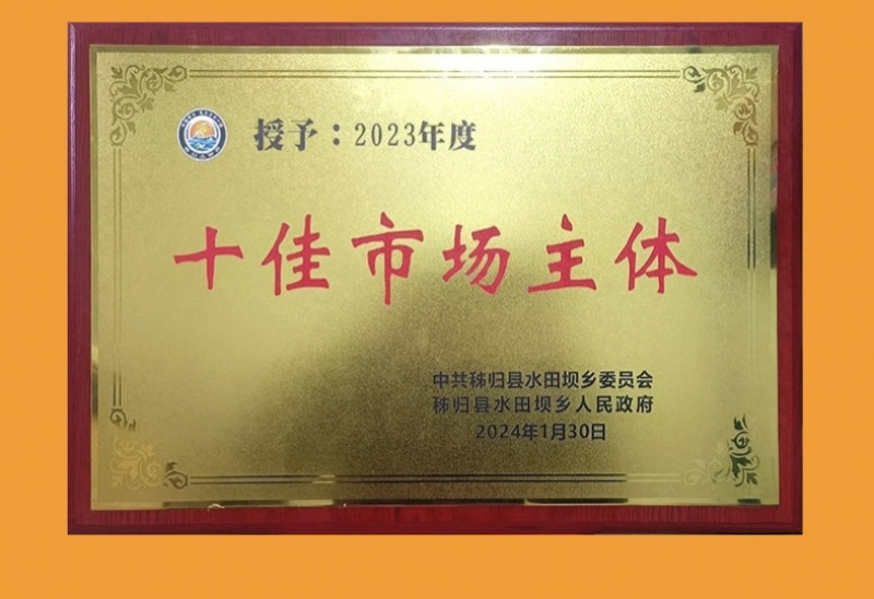秭归脐橙血橙红肉脐橙橙子产地直供一手货源货源充足大量供货