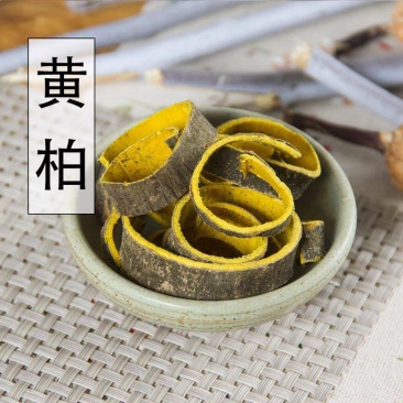 中药材黄柏黄柏片关黄柏川黄柏檗木檗皮黄檗5