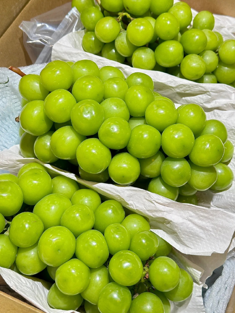 阳光玫瑰规格齐全口感好糖度高串型好