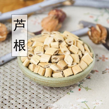 中药材新货野生芦苇根500g克农家芦根干芦根茶粉芦茅根苇