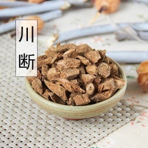 正品野生优质中药材川断正宗续断接骨草500g/克可磨粉