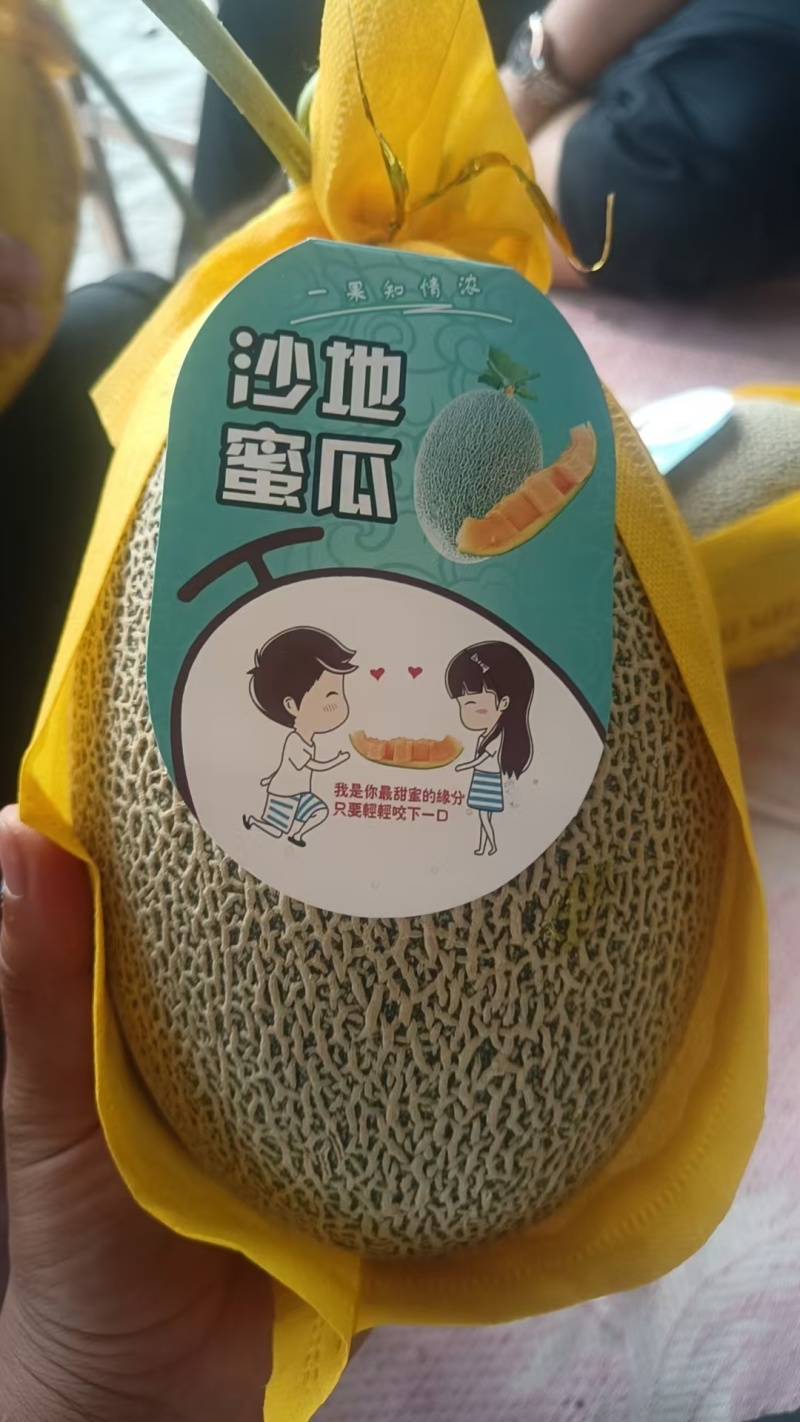 哈密瓜晓蜜25哈密瓜大量供应一手货源品质保证量大优惠
