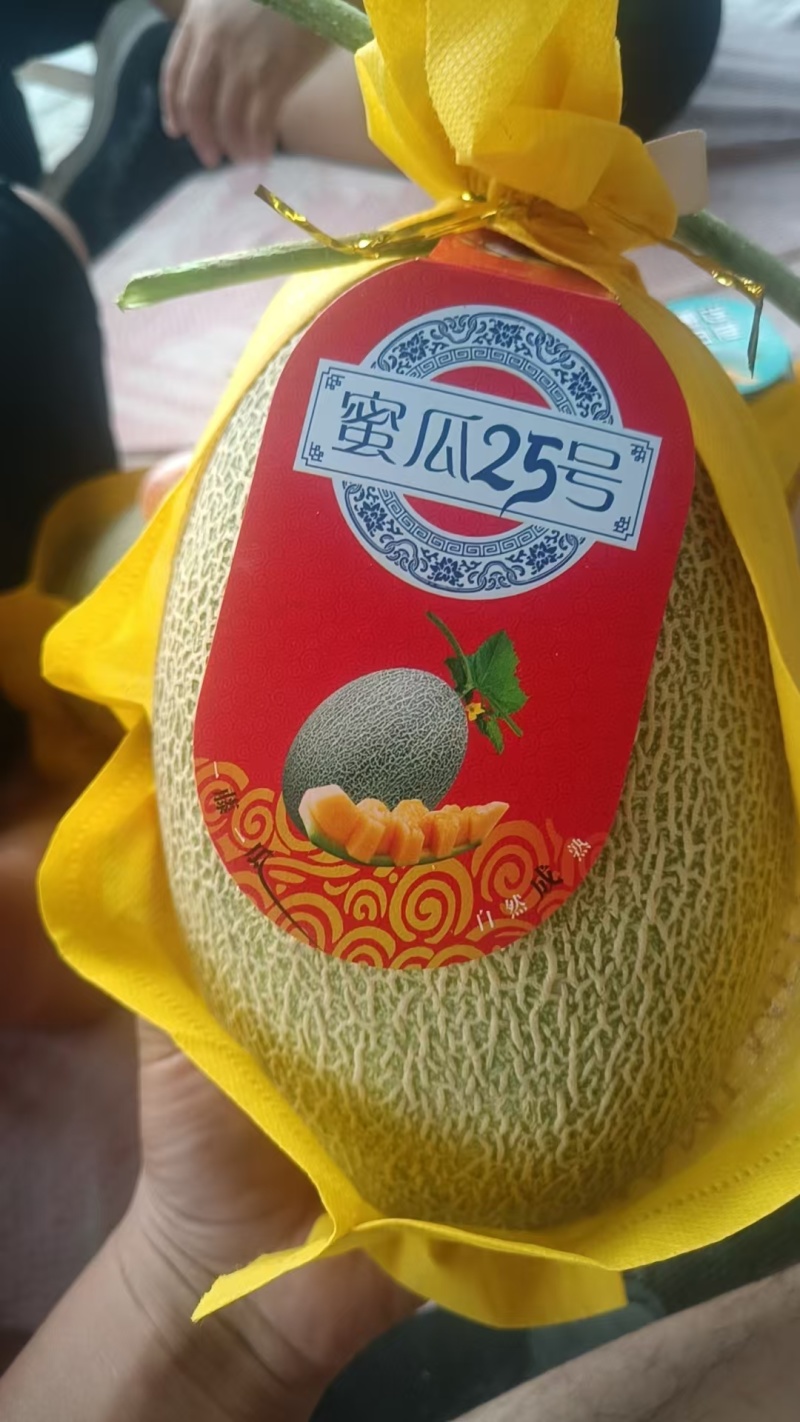 哈密瓜晓蜜25哈密瓜大量供应一手货源品质保证量大优惠