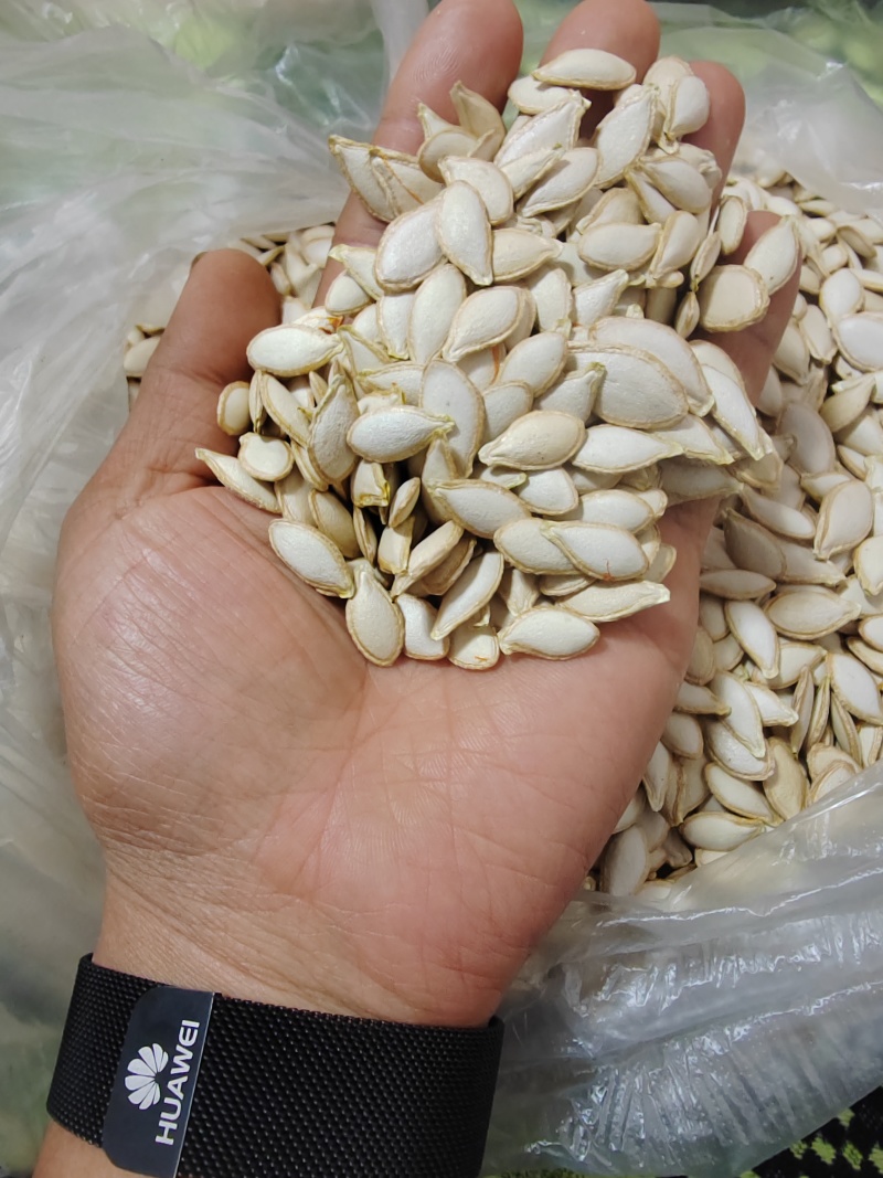 南瓜子，云南本地南瓜子，大量供应量大价格可谈2斤包邮