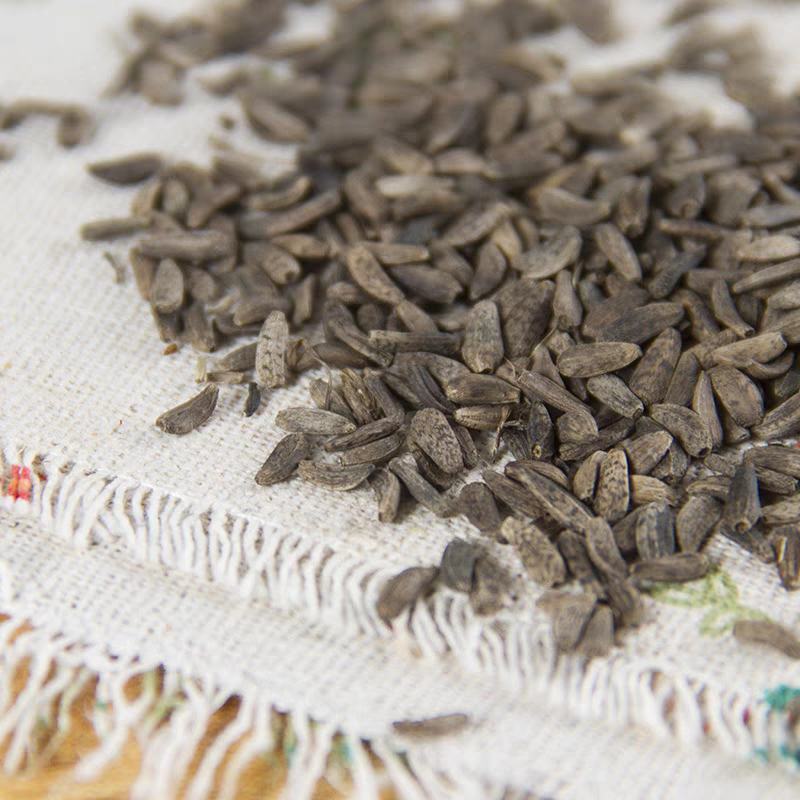 中药材正品新货野生牛蒡子500g克精选天然大力子大粒籽打