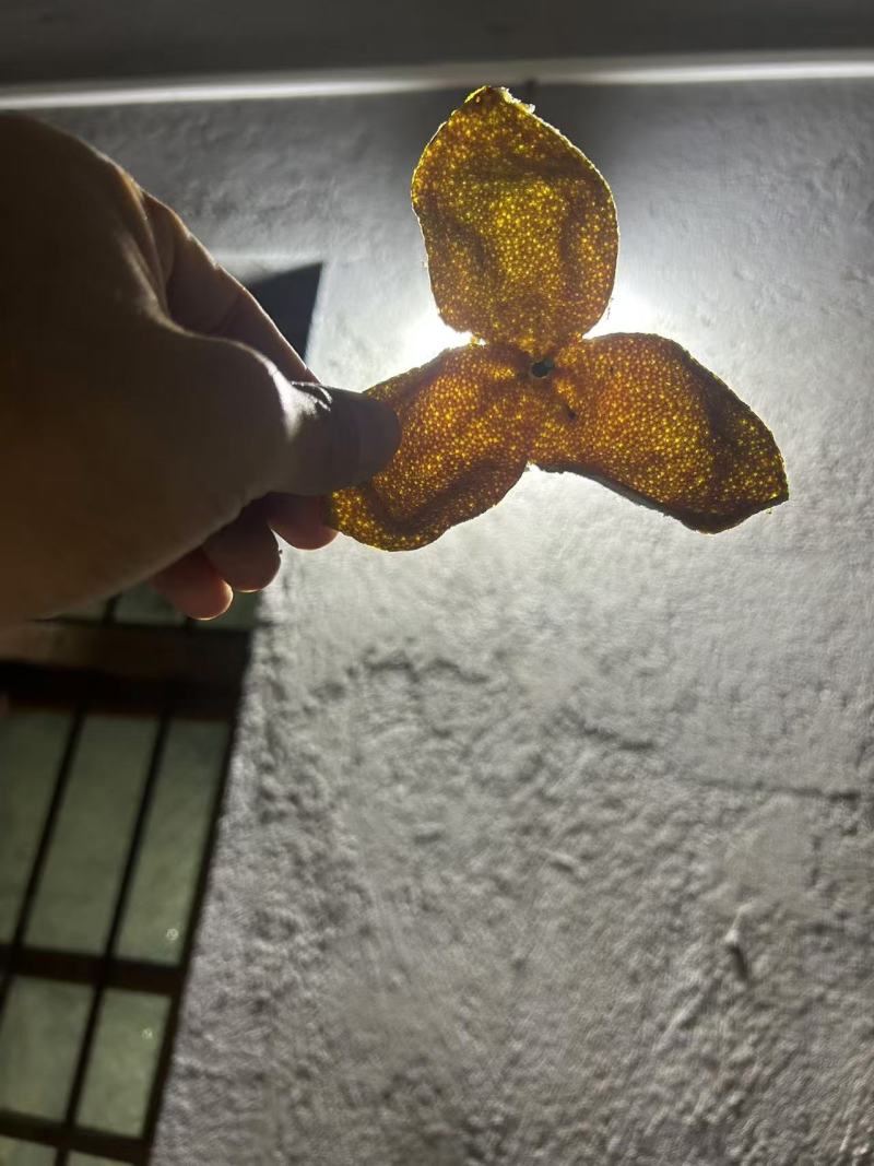 浦北县，茶枝柑陈皮二红，