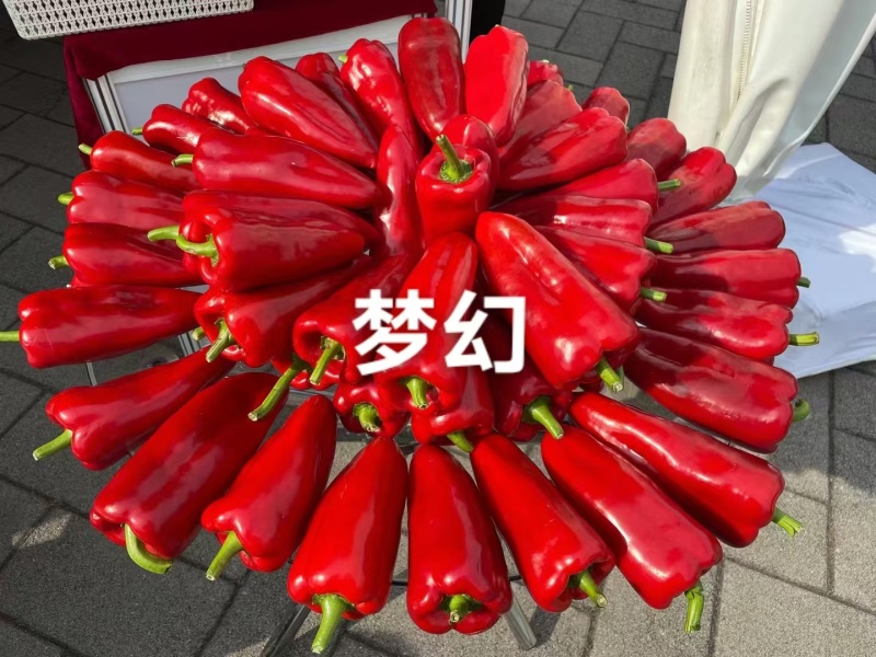 华渝梦幻红辣椒种子长圆锥形甜椒种子大果红尖椒大红泡椒种子