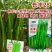 长线28线椒种子辣椒粗线椒种子高产特长软皮线椒种子香辣