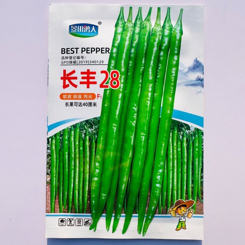 长线28线椒种子辣椒粗线椒种子高产特长软皮线椒种子香辣