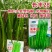 长线28线椒种子辣椒粗线椒种子高产特长软皮线椒种子香辣