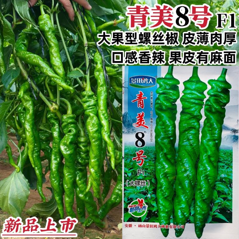 青美8号大果螺丝椒种子香辣大螺丝大果薄皮辣椒种子长果麻面