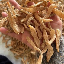 小天麻产地批发，湖北罗田大别山天麻天麻籽四级麻黄天麻