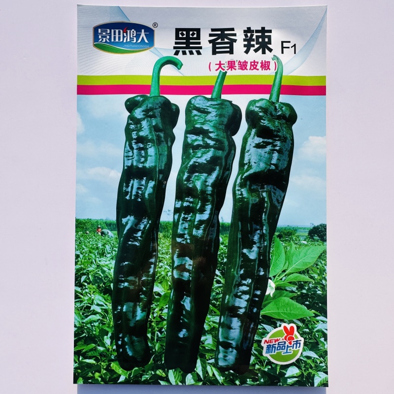 黑香辣皱皮椒种子特辣辣椒种子黑亮大皱皮辣椒皱皱椒种籽香辣
