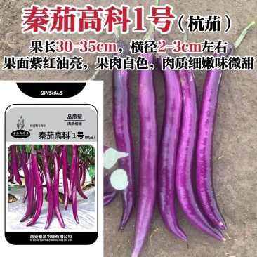 秦茄高科1号茄子种子杭茄一号紫红长茄线茄种子高产春秋蔬菜