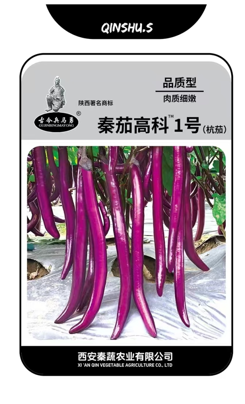 秦茄高科1号茄子种子杭茄一号紫红长茄线茄种子高产春秋蔬菜