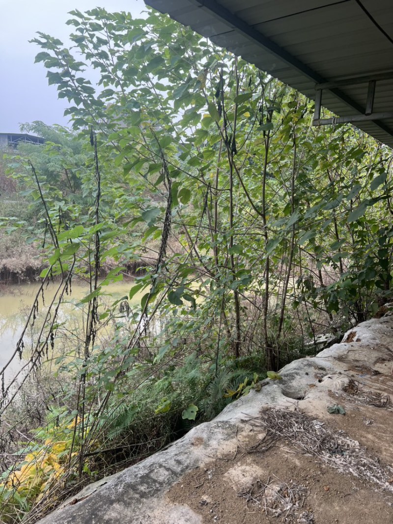 房屋出租
