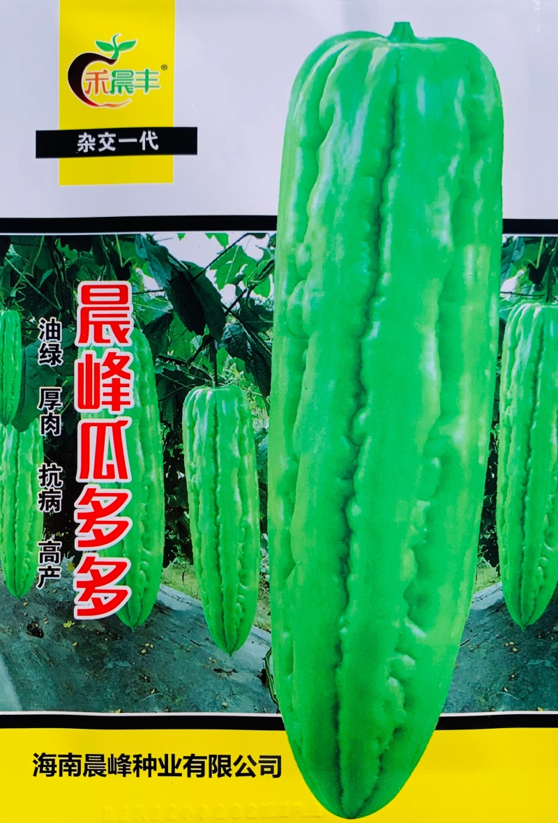 晨峰瓜多多苦瓜种子油绿肉苦瓜种子肉厚高产大肉苦瓜种籽蔬菜