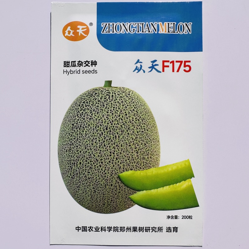众天F175网纹瓜种子高糖绿肉网纹蜜瓜种子椭圆形哈密瓜