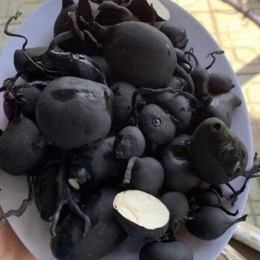 云南乌灵参资源有限有需要联系