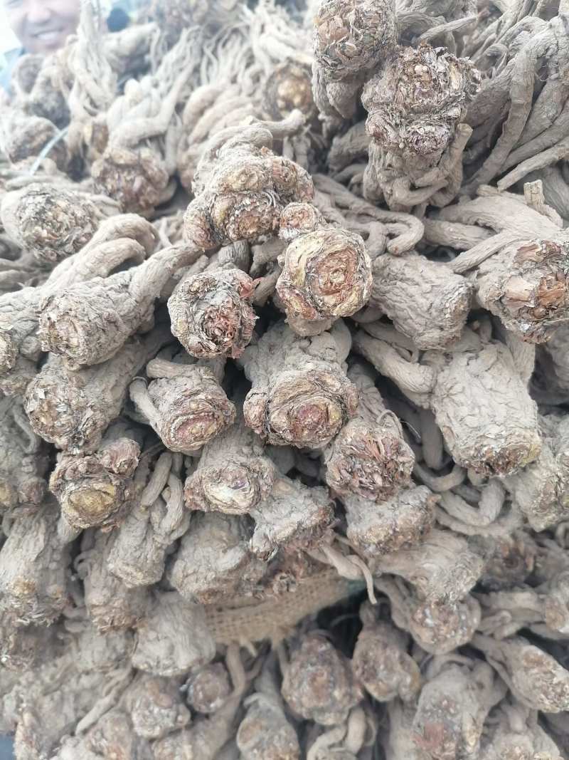 精品岷县当归，产地直发质量保证，价格合理，全国发货