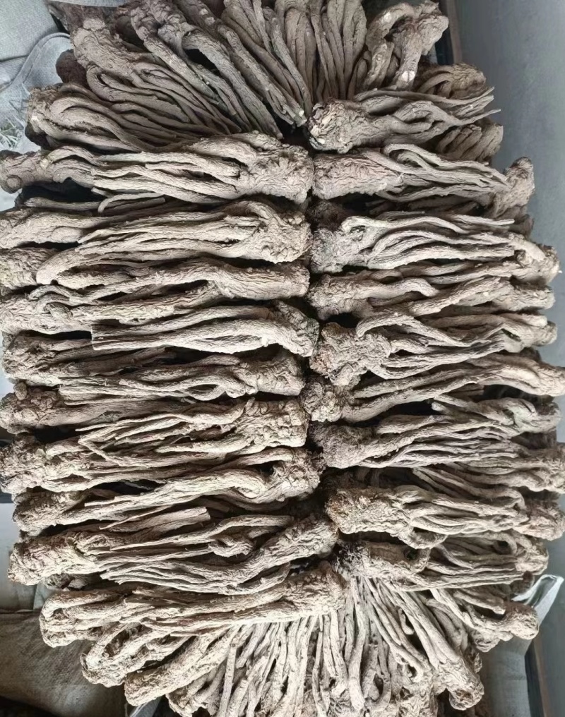 精品岷县当归，产地直发质量保证，价格合理，全国发货