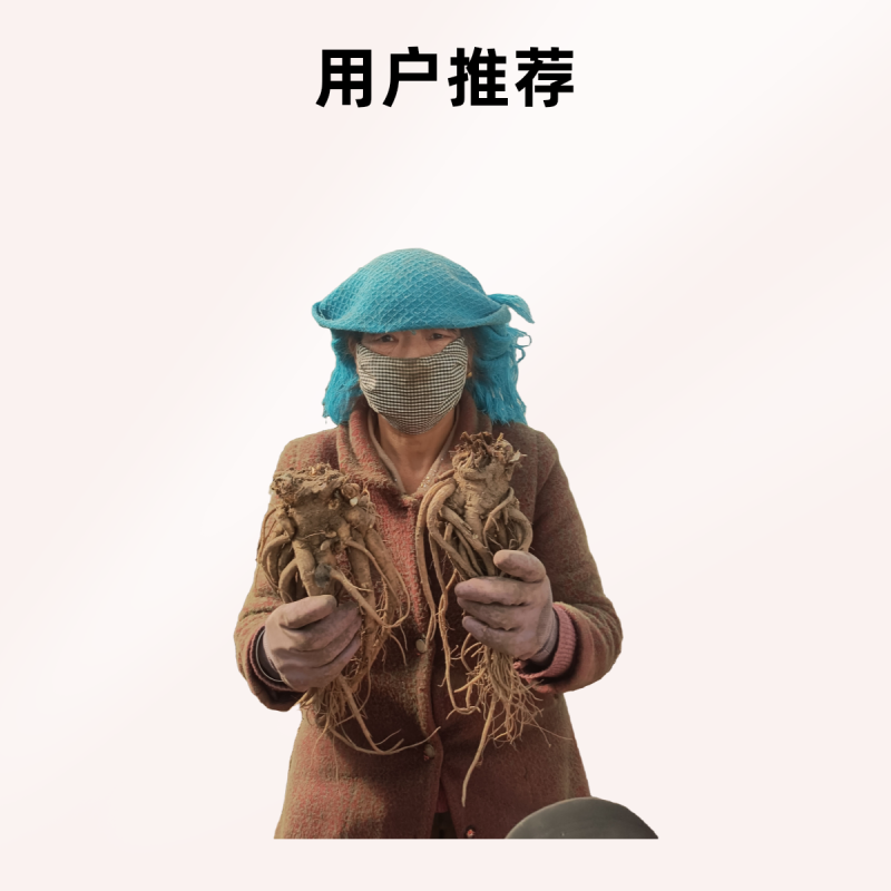 精品岷县当归，产地直发质量保证，价格合理，全国发货