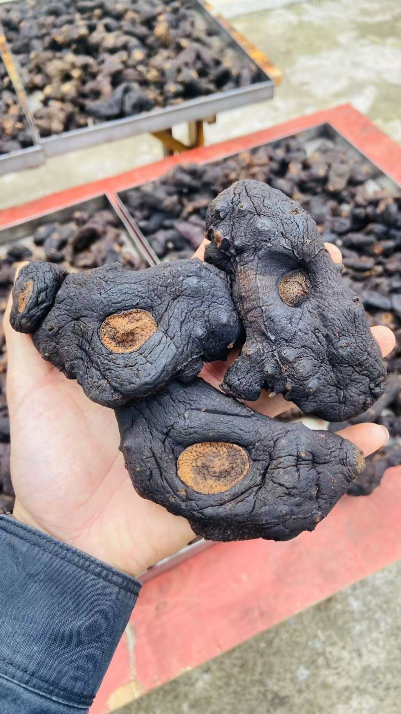 贵州多花黄精九蒸九晒农户直销大个头熟黄精