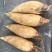 浙江台州高山野生冬笋新鲜现挖现支持一件代发支持少量要货