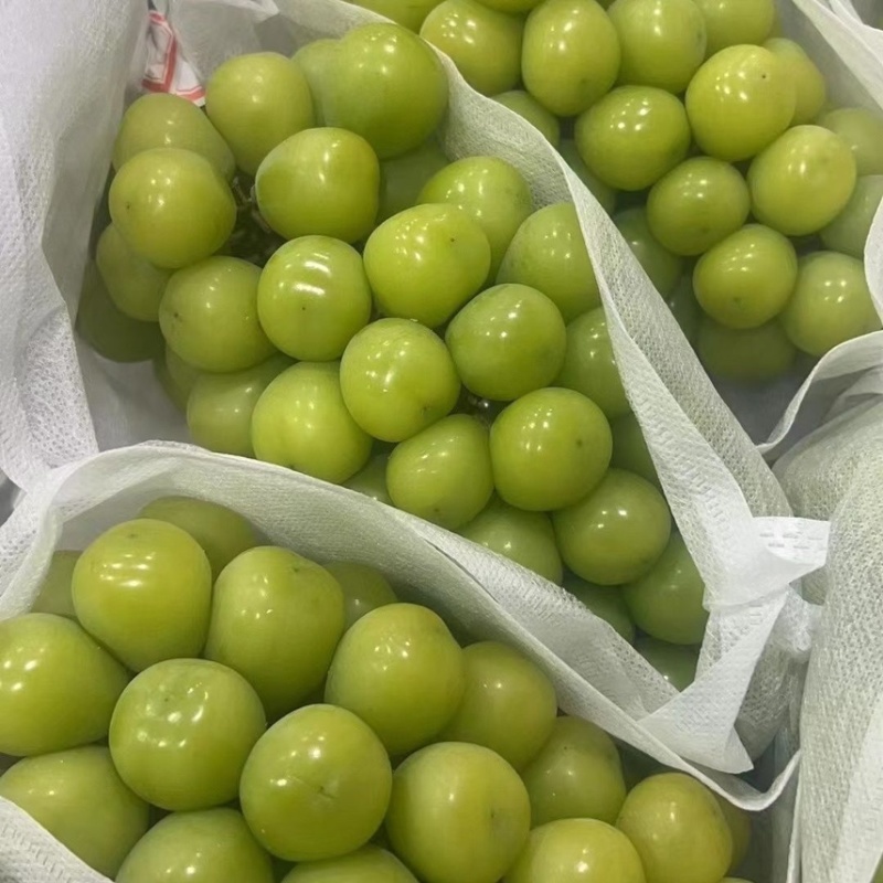 【精选】烟台阳光玫瑰皮薄多汁货源充足稳定欢迎订购