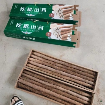 陕西铁棍山药一手货源量大从优质量保证欢迎咨询