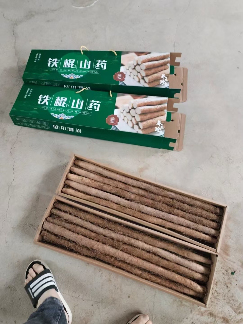 陕西铁棍山药一手货源量大从优质量保证欢迎咨询