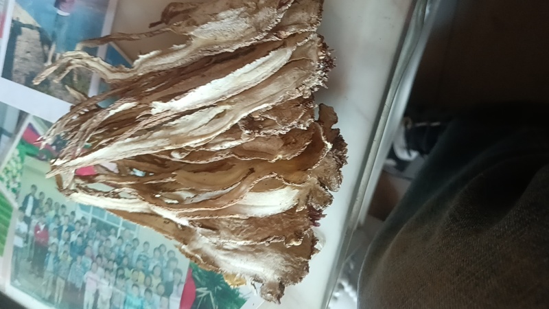 岷县精品当归头片当归中片残次品片无硫无添加
