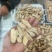 岷县精品当归头片当归中片残次品片无硫无添加