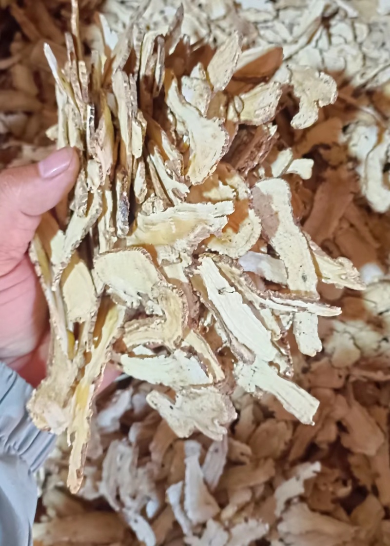 岷县精品当归头片当归中片残次品片无硫无添加