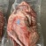 原切羊排，真空包装，2.5kg*1袋，实力厂家，一件批发