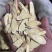 岷县精品黄芪大片中片小片产地直发诚信经营全国发货