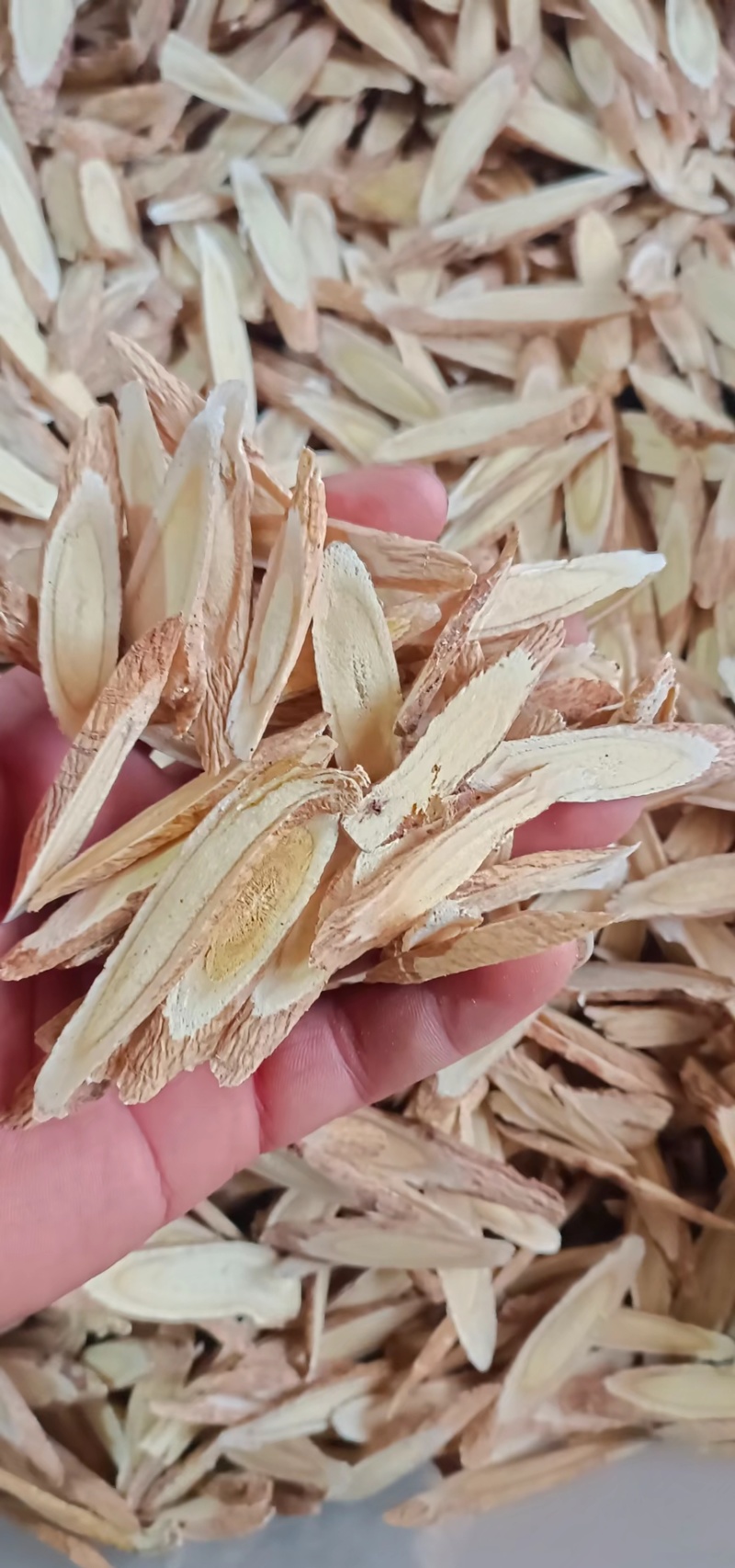 岷县精品黄芪大片中片小片产地直发诚信经营全国发货